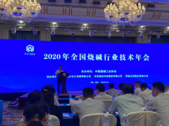 我公司受邀参加“2020年全国烧碱行业技术年会