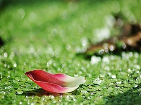 热烈庆祝浙江鼎耐公司网站全面改版！